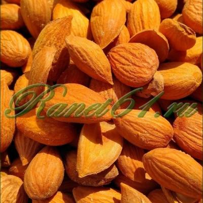 Абрикосовая косточка (1кг)