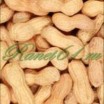 Арахис крупный жареный в скорлупе (5кг)