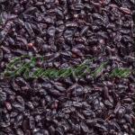 БАРБАРИС (1кг)