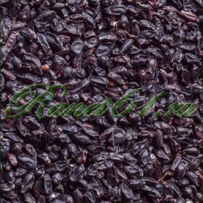 БАРБАРИС (1кг)