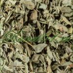 БАЗИЛИК (1 кг)