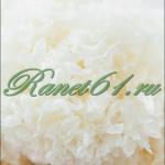 Гриб белый древесный китайский ( 1кг)