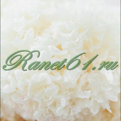 Гриб белый древесный китайский ( 1кг)