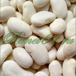 Фасоль белая (10кг)