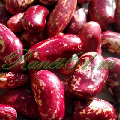 Фасоль красная (10 кг)