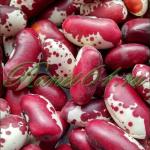 Фасоль Ласточка (1кг)