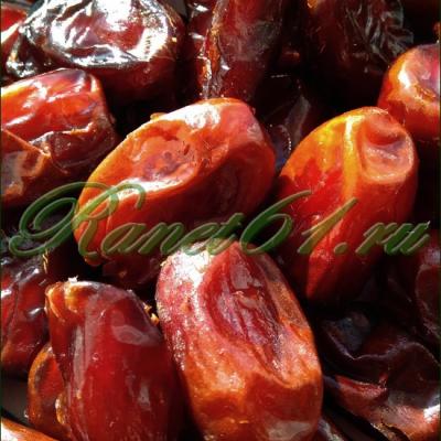 Финики Золотой араб (5кг)