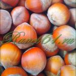 Фундук в скорлупе отборный (1 кг)