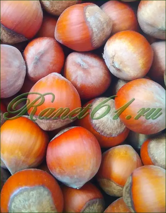 Фундук в скорлупе отборный (1 кг)