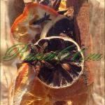 Набор для ГЛИНТВЕЙНА (0,05)