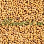 Горчица семя ( 1кг)