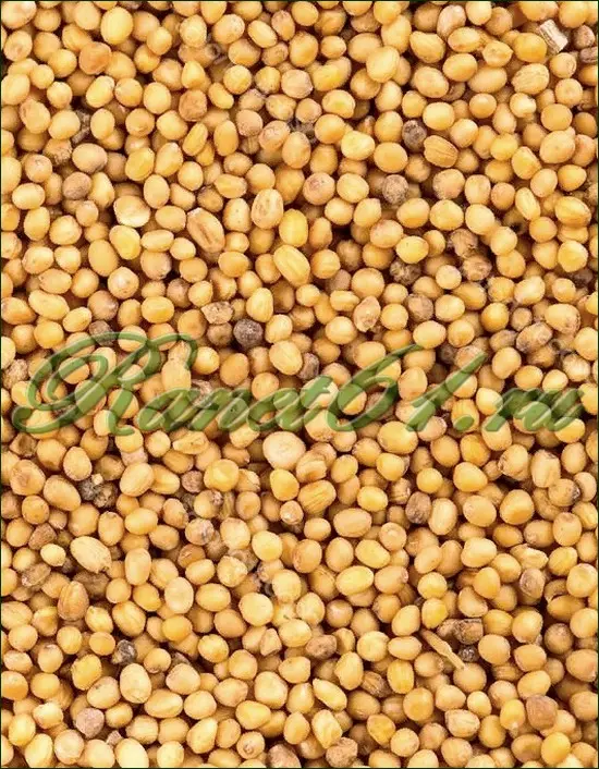 Горчица семя ( 1кг)