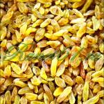 Изюм ДАМСКИЙ ПАЛЬЧИК (1кг)