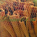 Корица палочки ( 1кг)