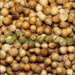 КОРИАНДР ЗЕРНО ( 1кг)