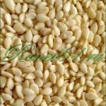 Кунжут белый (1 кг)