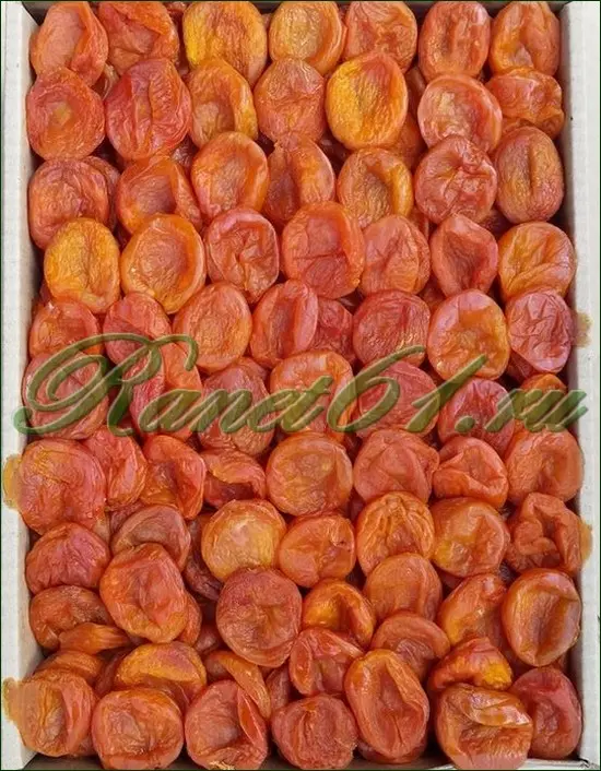 Курага Субхони крупная (5кг)