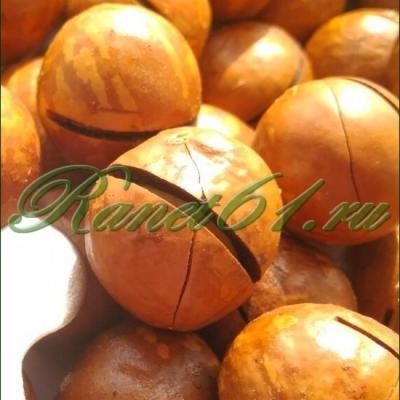 Макадамия орех в скорлупе крупный ААААА (1кг)