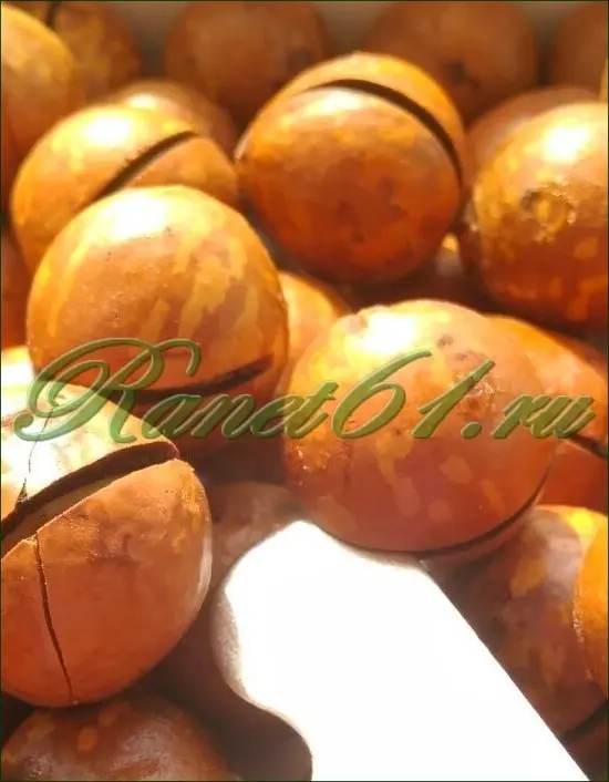 Макадамия орех в скорлупе средний ААА (4,9кг)