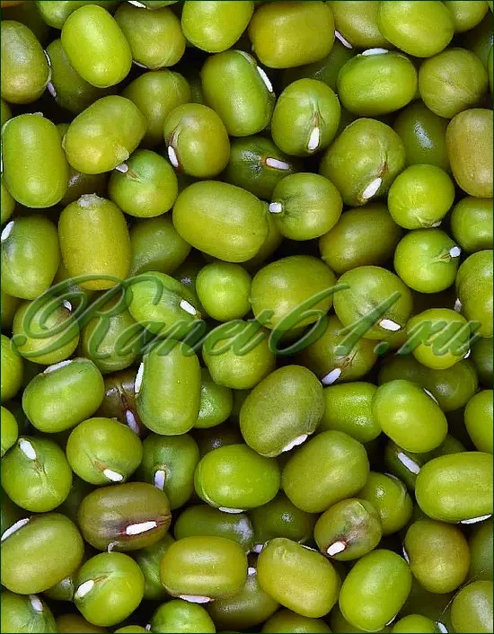 Маш для проращивания (1кг)