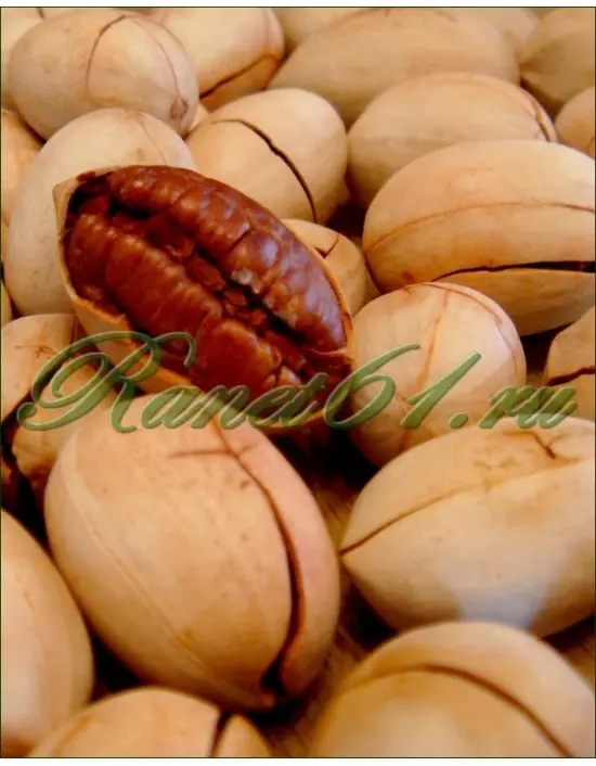 Пекан орех в скорлупе (1кг)