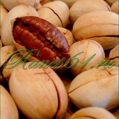 Пекан орех в скорлупе (1кг)