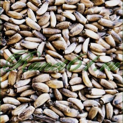 Расторопша семя(1кг)