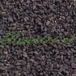 ТМИН черный ( 1кг)