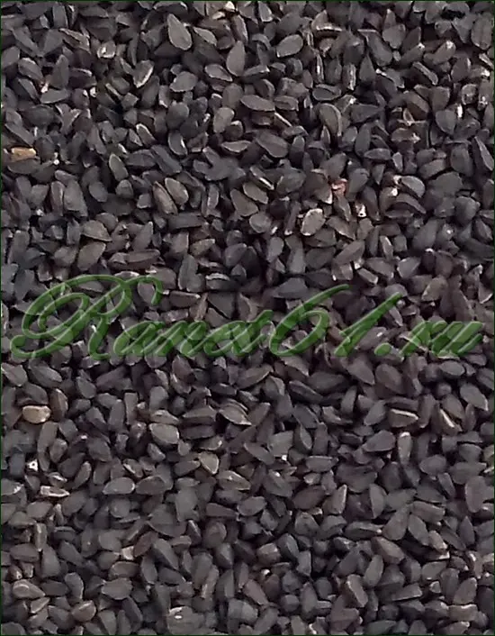 ТМИН черный ( 1кг)